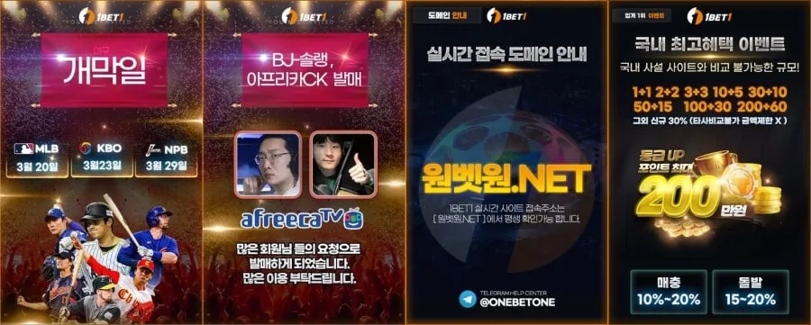 띵벳 쿠폰 이벤트 프로모션 안내 화면
