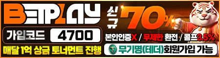 벳플레이